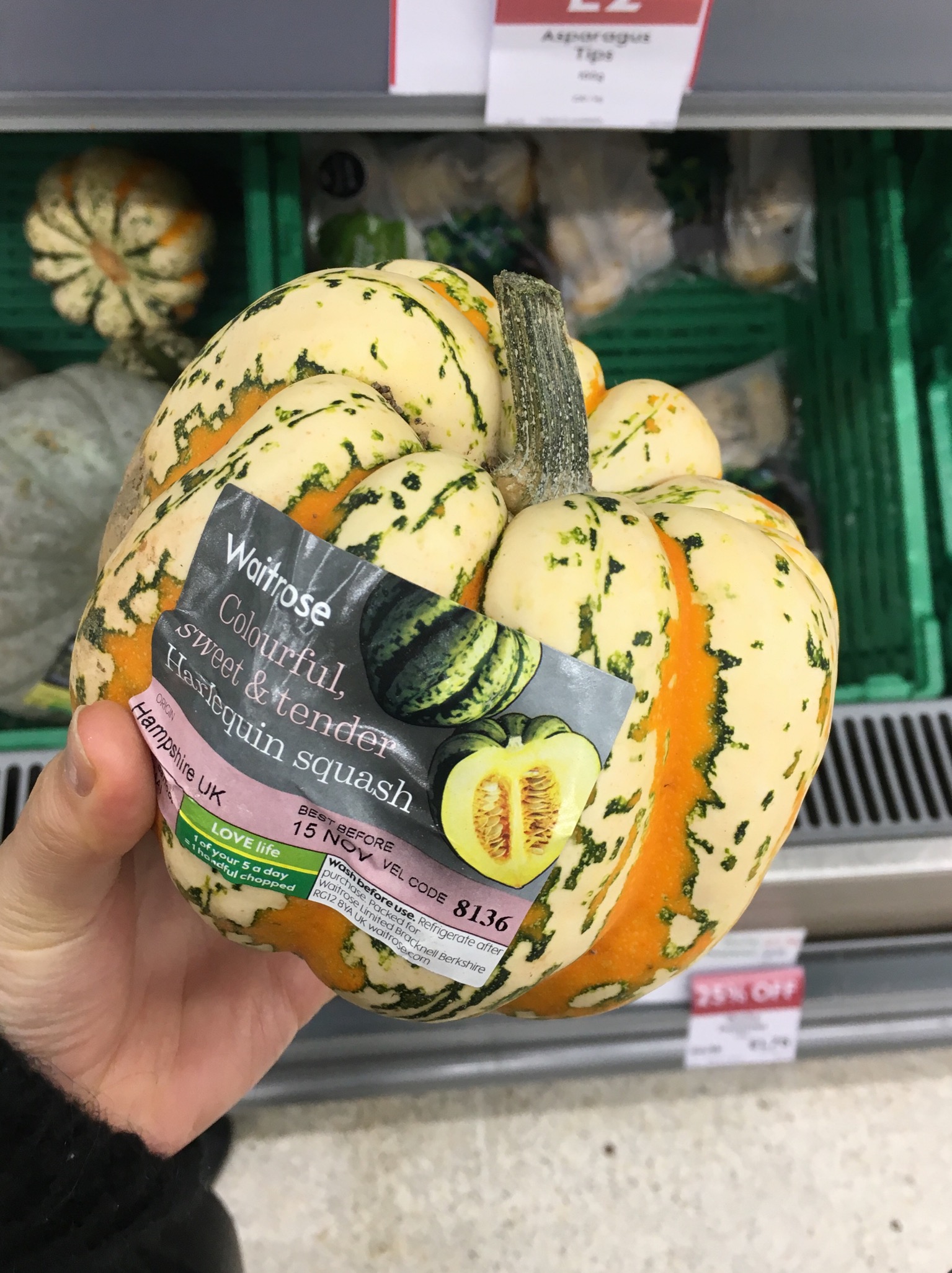 イギリスのおかしなお野菜たち 君はなんだい Tamipote